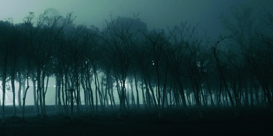 By Felix yu on Unsplash.