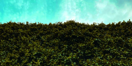 By Yael Yañez on Unsplash.